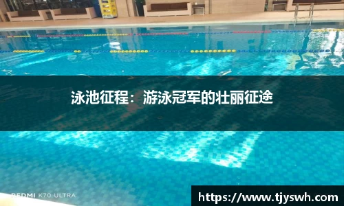 伟德bv国际体育
